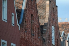 image06
