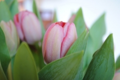 image06