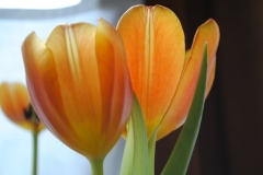 image07