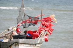 image15